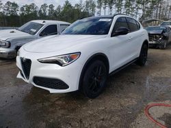 Salvage cars for sale at Harleyville, SC auction: 2019 Alfa Romeo Stelvio