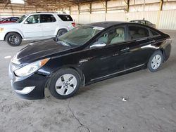 2012 Hyundai Sonata Hybrid for sale in Phoenix, AZ