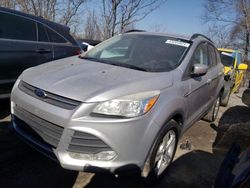 Salvage cars for sale at Baltimore, MD auction: 2014 Ford Escape SE