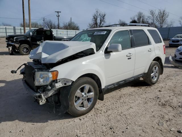 2011 Ford Escape Limited