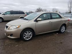 Salvage cars for sale from Copart London, ON: 2010 Toyota Corolla Base