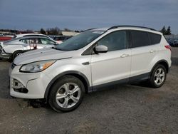 Salvage cars for sale from Copart -no: 2016 Ford Escape SE