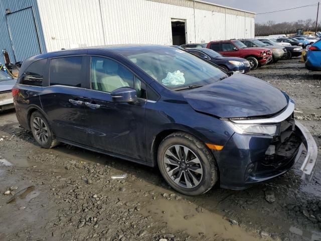 2021 Honda Odyssey EXL