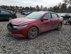 Hyundai salvage cars for sale: 2023 Hyundai Elantra SEL