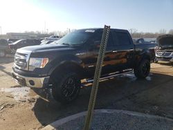 Salvage cars for sale at Louisville, KY auction: 2013 Ford F150 Supercrew