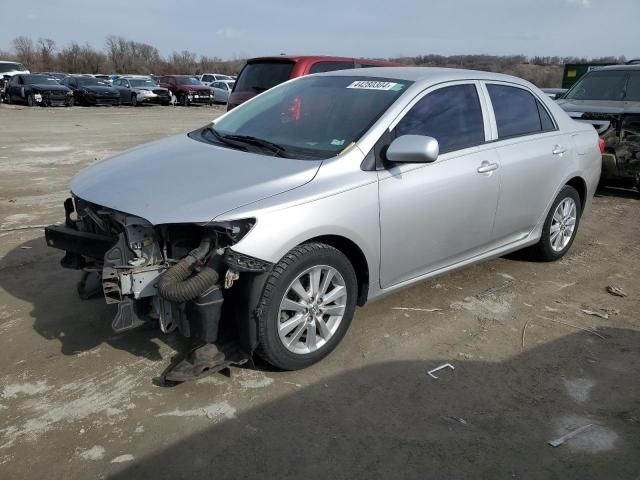 2010 Toyota Corolla Base