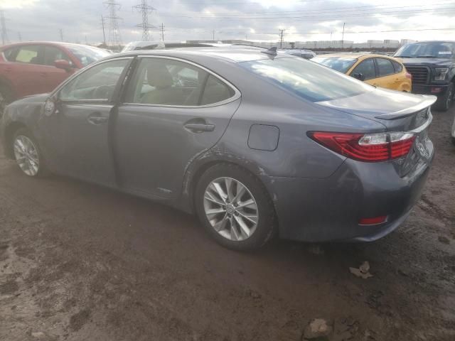 2014 Lexus ES 300H