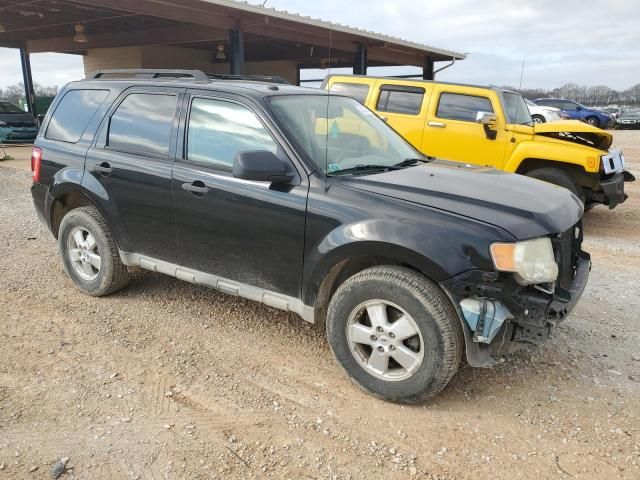 2009 Ford Escape XLT