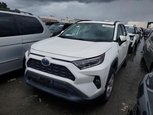 2019 Toyota Rav4 XLE