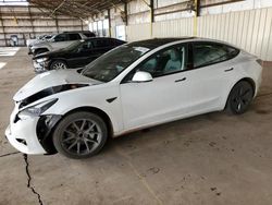 Salvage cars for sale from Copart Phoenix, AZ: 2023 Tesla Model 3