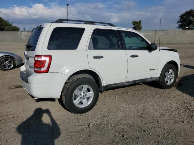 2009 Ford Escape Hybrid