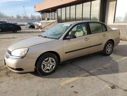 Clean Title Cars for sale at auction: 2005 Chevrolet Malibu