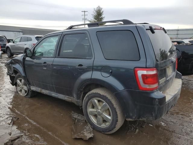 2009 Ford Escape XLT