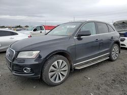 Salvage cars for sale at Eugene, OR auction: 2013 Audi Q5 Premium Hybrid