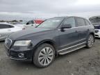 2013 Audi Q5 Premium Hybrid