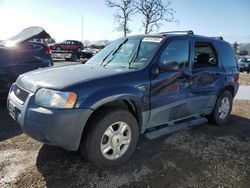 Ford Escape XLT Vehiculos salvage en venta: 2003 Ford Escape XLT