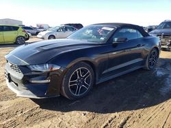 Vehiculos salvage en venta de Copart Amarillo, TX: 2021 Ford Mustang