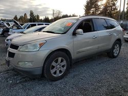 Chevrolet Traverse salvage cars for sale: 2009 Chevrolet Traverse LT