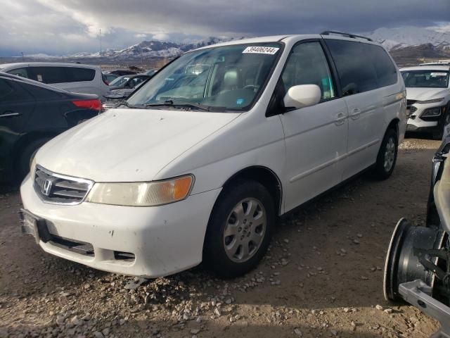 2002 Honda Odyssey EXL