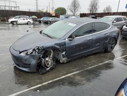 Salvage cars for sale at Wilmington, CA auction: 2020 Tesla Model 3