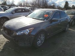 Honda Accord salvage cars for sale: 2012 Honda Accord EX