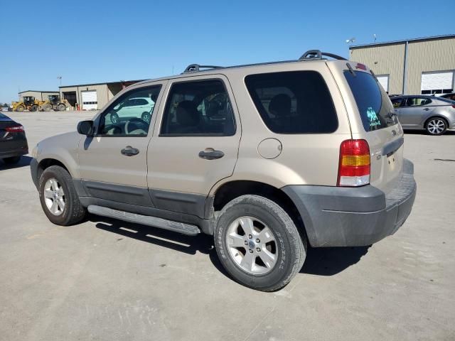 2007 Ford Escape XLT