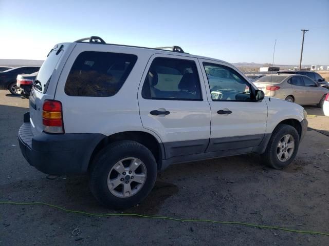 2007 Ford Escape XLT