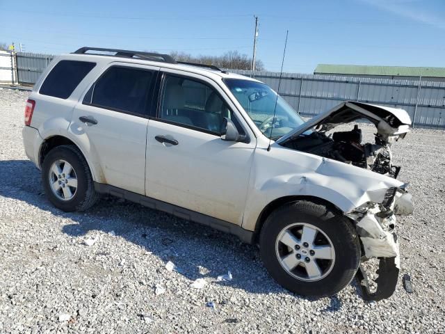 2010 Ford Escape XLT