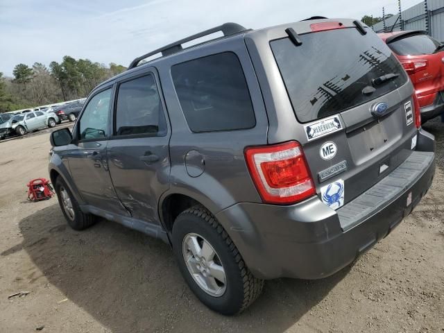 2011 Ford Escape XLT