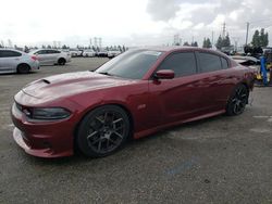 Dodge Charger salvage cars for sale: 2019 Dodge Charger Scat Pack