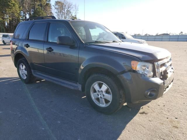 2009 Ford Escape XLT