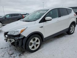 2014 Ford Escape SE for sale in Nisku, AB