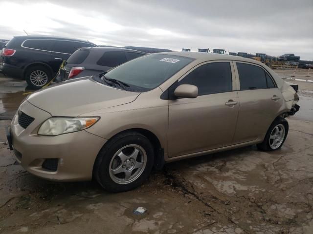 2009 Toyota Corolla Base