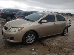 Vehiculos salvage en venta de Copart Grand Prairie, TX: 2009 Toyota Corolla Base