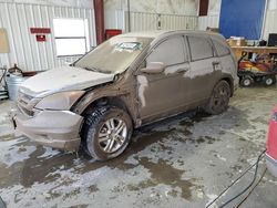 Salvage cars for sale at Helena, MT auction: 2011 Honda CR-V EXL