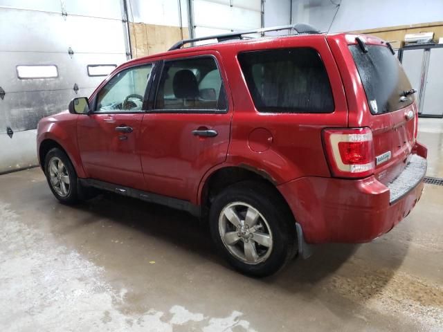 2012 Ford Escape XLT