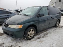 Honda Odyssey EX Vehiculos salvage en venta: 2000 Honda Odyssey EX