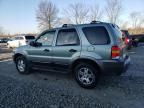 2006 Ford Escape XLT