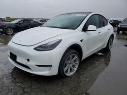 2023 Tesla Model Y for sale in Martinez, CA