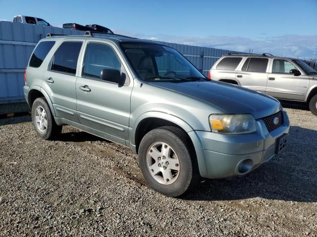 2006 Ford Escape Limited