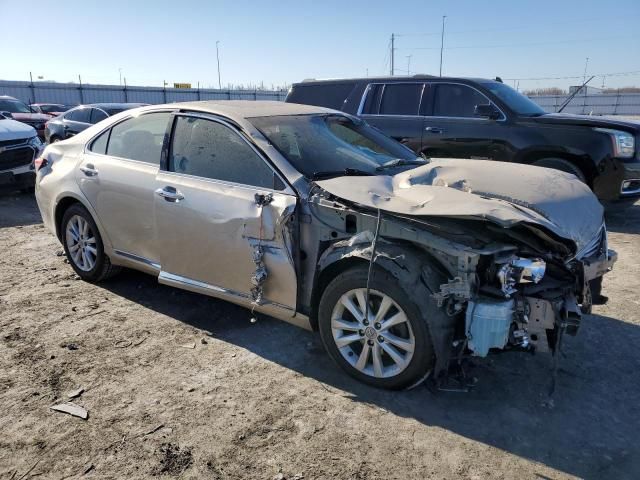 2010 Lexus ES 350