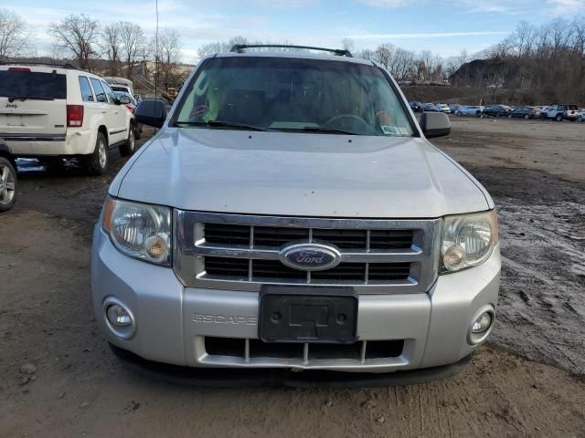 2009 Ford Escape XLT