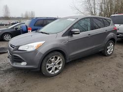 Salvage cars for sale at Arlington, WA auction: 2013 Ford Escape SEL