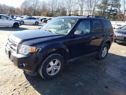 Salvage cars for sale at North Billerica, MA auction: 2012 Ford Escape XLT