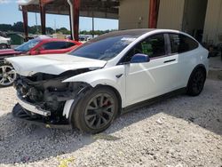 Salvage cars for sale from Copart Homestead, FL: 2023 Tesla Model X
