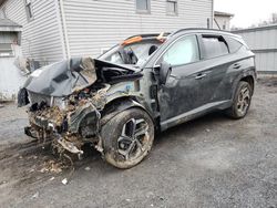 Salvage cars for sale from Copart York Haven, PA: 2024 Hyundai Tucson Limited