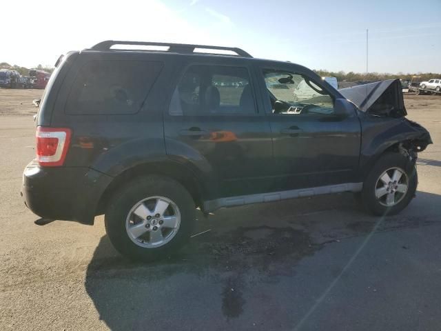 2009 Ford Escape XLT