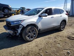 Salvage cars for sale at Windsor, NJ auction: 2022 Honda CR-V EXL