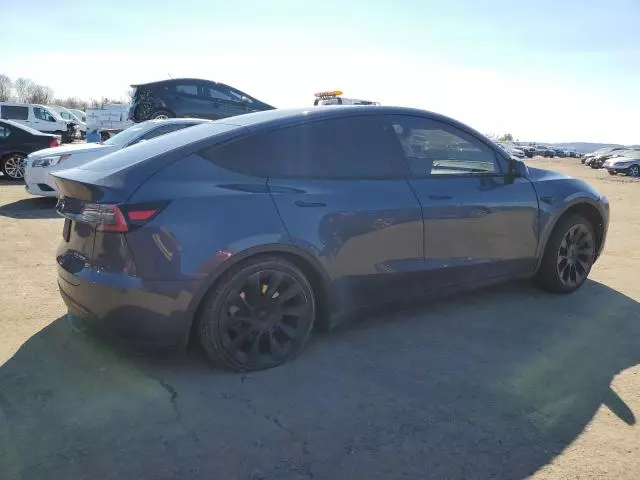 2020 Tesla Model Y