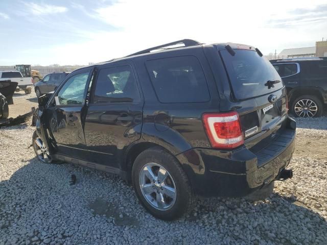 2010 Ford Escape XLT